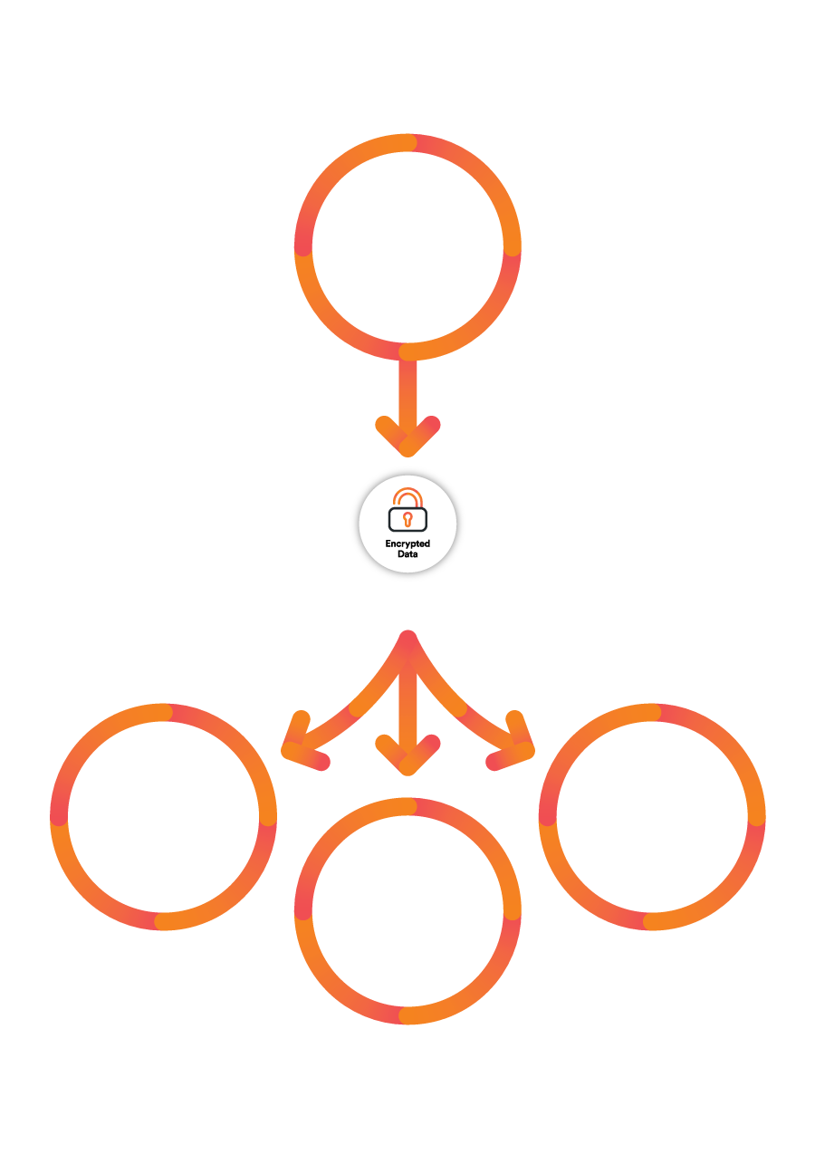 General Practice Outlined